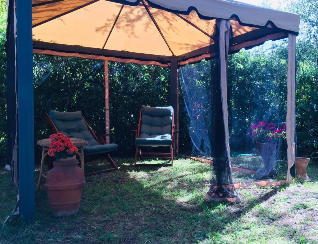 Cedro Del Libano Appartement Castiglioncello Buitenkant foto