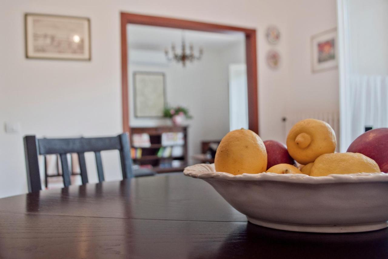 Cedro Del Libano Appartement Castiglioncello Buitenkant foto