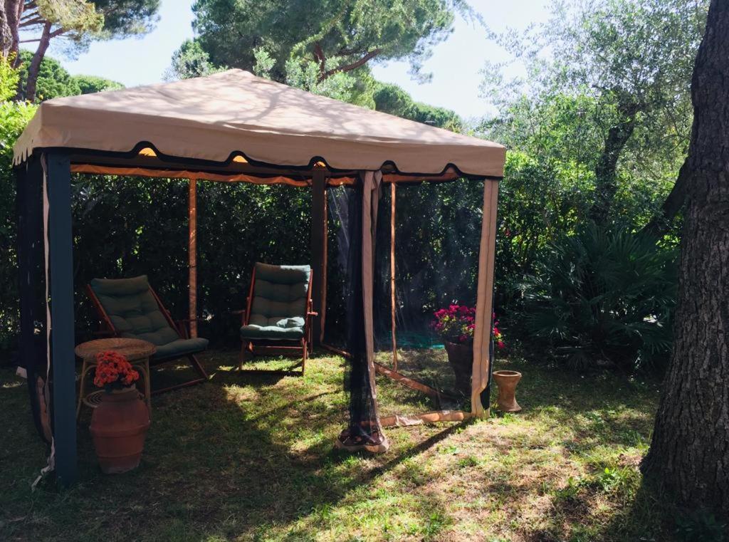 Cedro Del Libano Appartement Castiglioncello Buitenkant foto